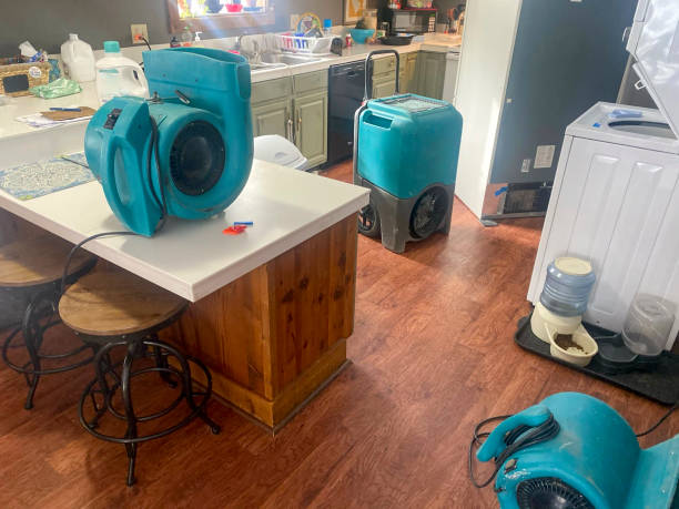 Best Fire Damage Restoration  in Trappe, PA
