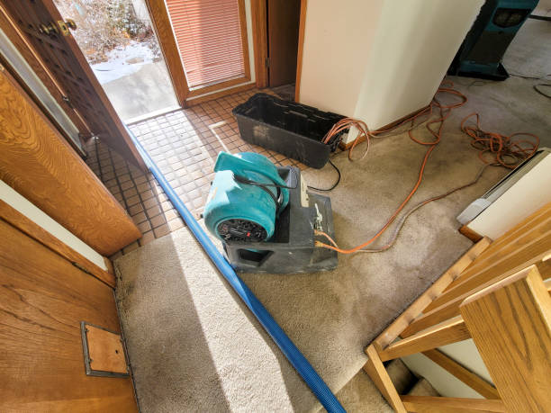 Best Carpet water damage restoration  in Trappe, PA