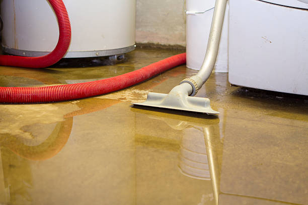 Best Commercial water damage restoration  in Trappe, PA